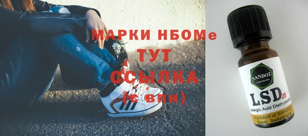 гашик Михайлов