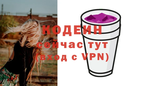 гашик Михайлов
