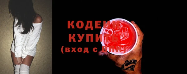 индика Анива