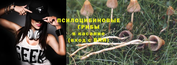 ГАЛЛЮЦИНОГЕННЫЕ ГРИБЫ Михайловка