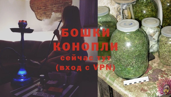 гашик Михайлов