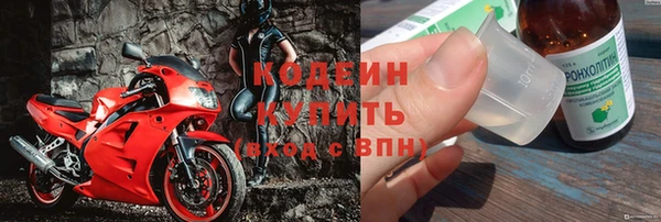 гашик Михайлов