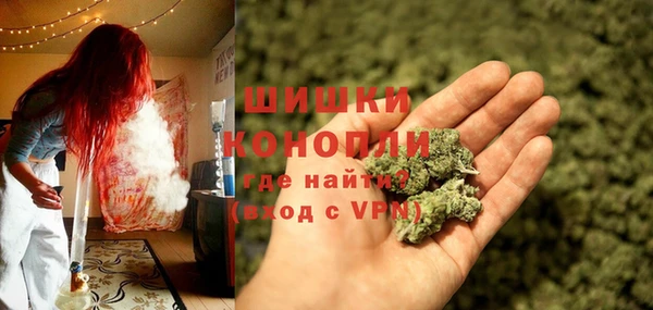 гашик Михайлов