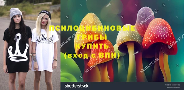 гашик Михайлов