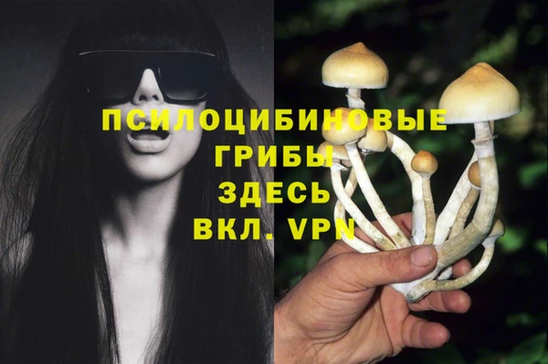 ALPHA PVP Михайловск